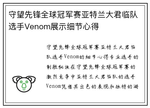 守望先锋全球冠军赛亚特兰大君临队选手Venom展示细节心得