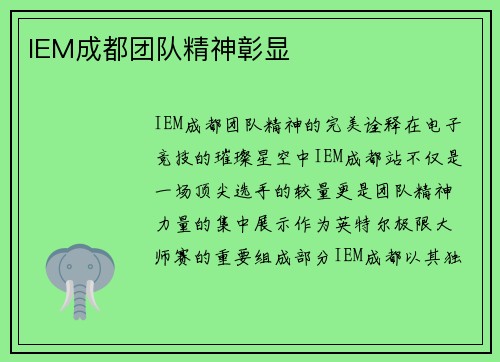 IEM成都团队精神彰显